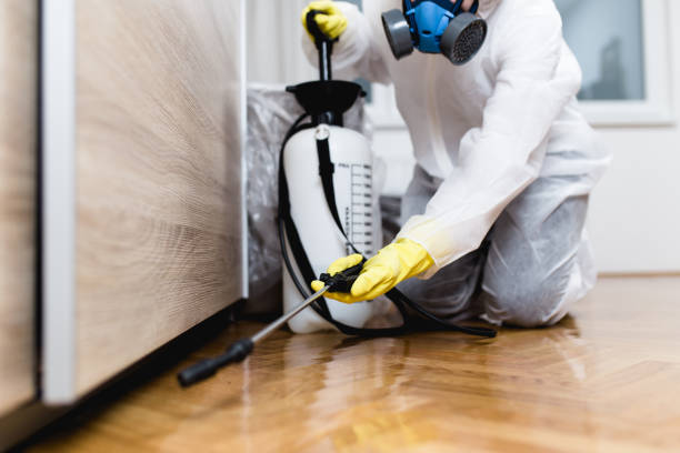 Best Pest Prevention Services  in West Haven, UT