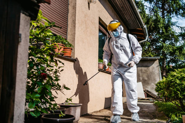 Best Bed Bug Extermination  in West Haven, UT
