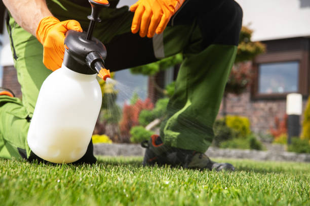 Best Pest Control Near Me  in West Haven, UT