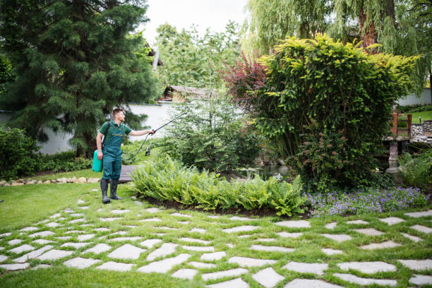 Best Pest Control Near Me  in West Haven, UT