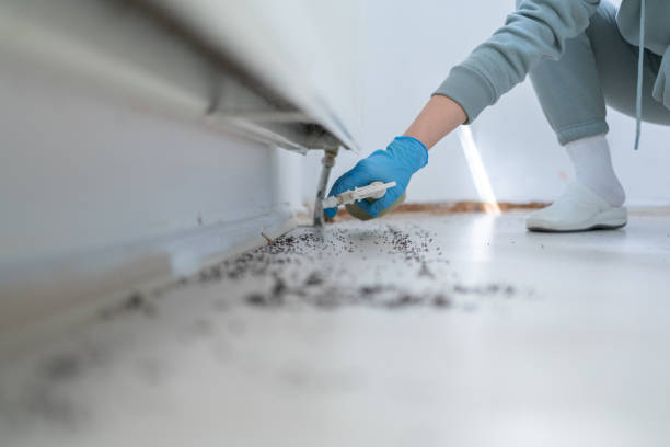 Best Pest Prevention Services  in West Haven, UT