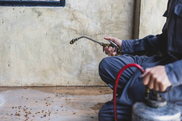 Professional Pest Control in West Haven, UT