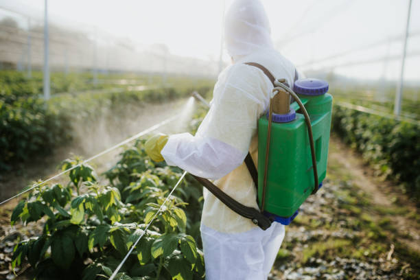 Best Mosquito Control Services  in West Haven, UT